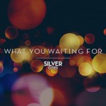 Silver Cities - What You Waiting For- Single